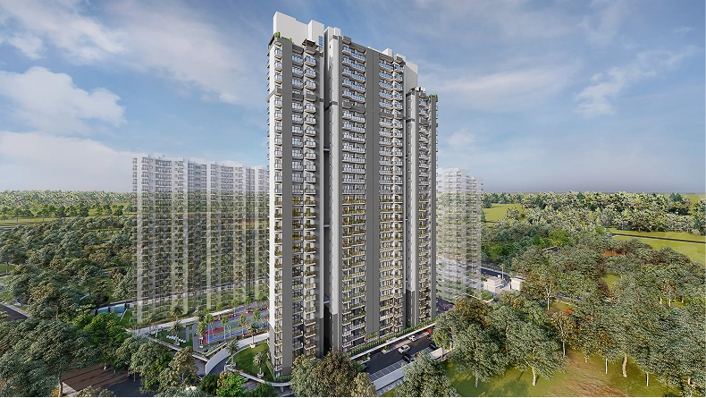 Gallery 19